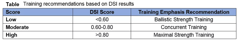 Training recommendations based on DSI results
